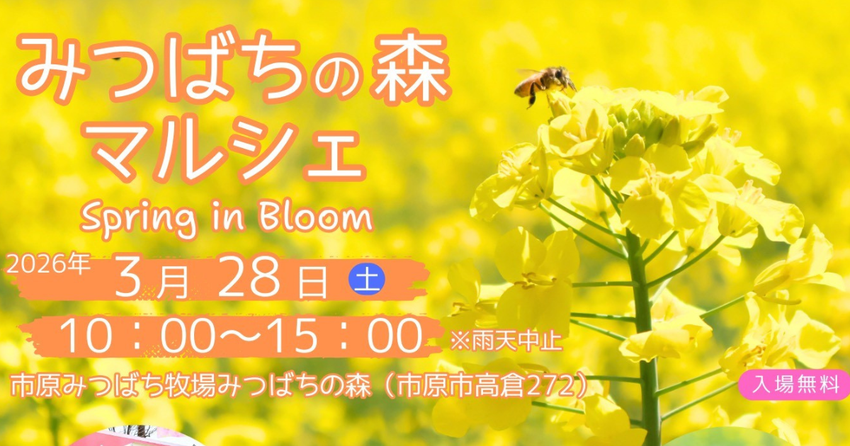 ﾜｰﾄﾞﾌﾟﾚｽ (19)