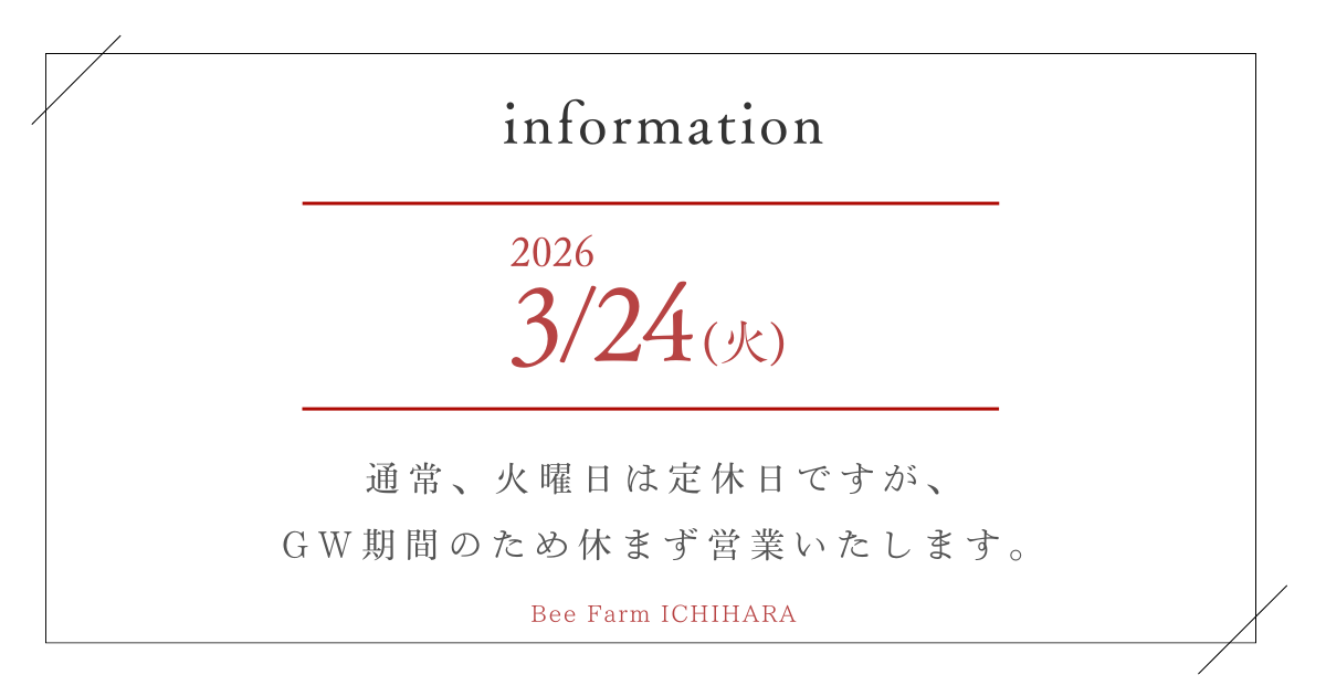 ﾜｰﾄﾞﾌﾟﾚｽ (26)