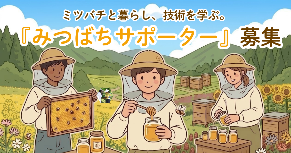 ﾜｰﾄﾞﾌﾟﾚｽ (39)